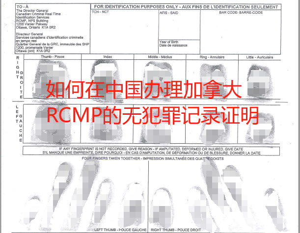 加拿大RCMP无犯罪记录证明